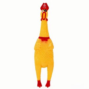 Squeaky Chicken